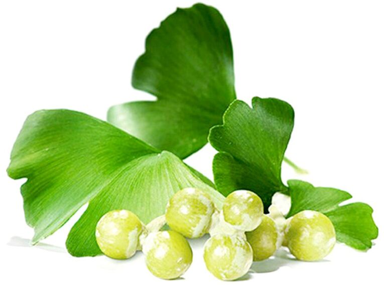 Ginkgo biloba leaves improve blood circulation in the penile tissues